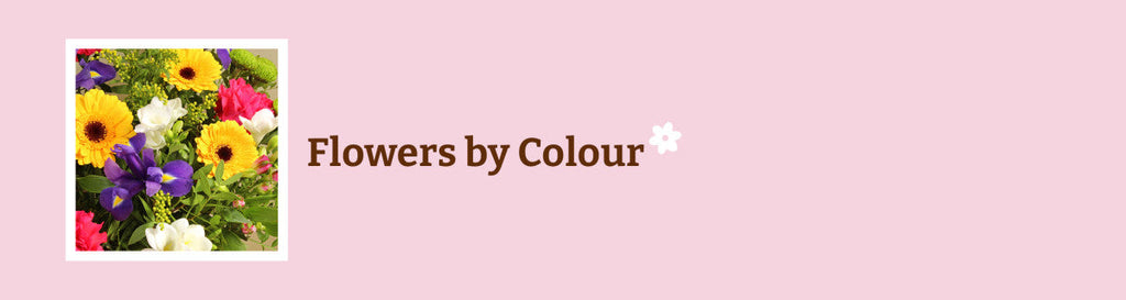 Flowers By Colour