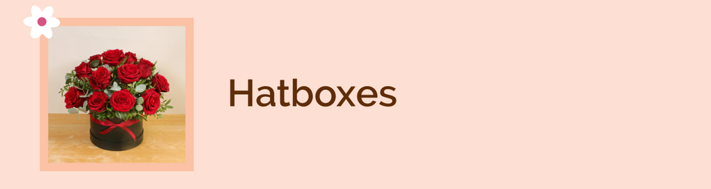 Hatboxes