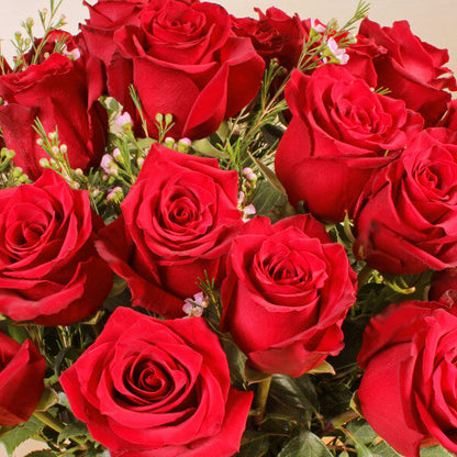 Luxury Two Dozen Red Roses